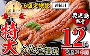 i1173-A ＜定期便・計6回(連続月)＞＼特大サイズ／鹿児島県産 うなぎ蒲焼 2尾セット ＜（約220g×2・計約440g）×全6回＞ 定期便 たれ 山椒付きうなぎ 鰻 ウナギ 特大 特大サイズ 約220g 蒲焼き 国産 鹿児島県産 焼きたて 生産量日本一 真空パックおかず 晩御飯 特別な日  【薩摩川内鰻】