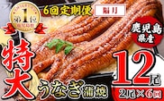 i1173-B ＜定期便・計6回(隔月)＞＼特大サイズ／鹿児島県産 うなぎ蒲焼 2尾セット ＜（約220g×2・計約440g）×全6回＞  定期便 たれ 山椒付きうなぎ 鰻 ウナギ 特大 特大サイズ 約220g 蒲焼き 国産 鹿児島県産 焼きたて 生産量日本一 真空パックおかず 晩御飯 特別な日  【薩摩川内鰻】