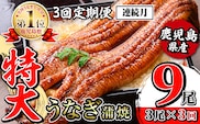 i1174-A ＜定期便・計3回(連続月)＞＼特大サイズ／鹿児島県産 うなぎ蒲焼 3尾セット＜（約220g×3・計約660g）×全3回＞  定期便 たれ 山椒付きうなぎ 鰻 ウナギ 特大 特大サイズ 約220g 蒲焼き 国産 鹿児島県産 焼きたて 生産量日本一 真空パックおかず 晩御飯 特別な日 土用の丑の日 【薩摩川内鰻】