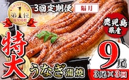 i1174-B ＜定期便・計3回(隔月)＞＼特大サイズ／鹿児島県産 うなぎ蒲焼 3尾セット＜（約220g×3・計約660g）×全3回＞ 定期便 たれ 山椒付きうなぎ 鰻 ウナギ 特大 特大サイズ 約220g 蒲焼き 国産 鹿児島県産 焼きたて 生産量日本一 真空パックおかず 晩御飯 特別な日 土用の丑の日 【薩摩川内鰻】