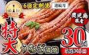 i1177-A ＜定期便・計6回(連続月)＞＼特大サイズ／鹿児島県産 うなぎ蒲焼 5尾セット ＜（約220g×5・計約1100g）×全6回＞ 定期便 たれ 山椒付きうなぎ 鰻 ウナギ 特大 特大サイズ 約220g 蒲焼き 国産 鹿児島県産 焼きたて 生産量日本一 真空パックおかず 晩御飯 特別な日 土用の丑の日 【薩摩川内鰻】