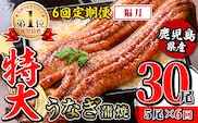 i1177-B ＜定期便・計6回(隔月)＞＼特大サイズ／鹿児島県産 うなぎ蒲焼 5尾セット ＜（約220g×5・計約1100g）×全6回＞ 定期便 たれ 山椒付きうなぎ 鰻 ウナギ 特大 特大サイズ 約220g 蒲焼き 国産 鹿児島県産 焼きたて 生産量日本一 真空パックおかず 晩御飯 特別な日 土用の丑の日 【薩摩川内鰻】