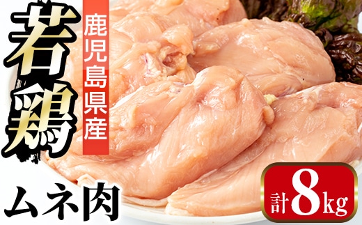 i1091-B 鹿児島県産 若鶏ムネ肉 (2kg×4袋・計8kg ) 鶏肉 鳥肉 とり肉 ムネ むね肉 国産 鹿児島県産 2kg 8kg 安心安全 冷凍 【まつぼっくり】