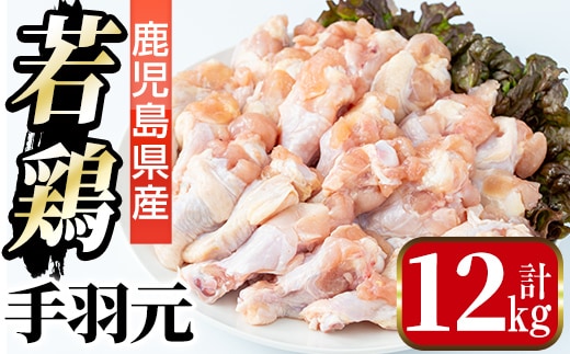 i1092-C 鹿児島県産 手羽元(計12kg・2kg×6袋) 鶏肉 鳥肉 とり肉 手羽 手羽もと 国産 鹿児島県産 2kg 12kg 安心安全 冷凍 【まつぼっくり】