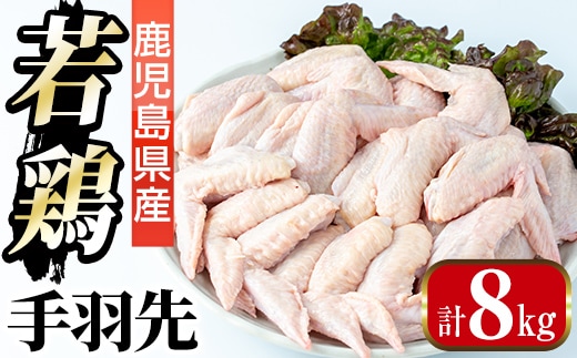 i1093 鹿児島県産 若鶏 手羽先 (2kg×4P・計8kg ) 鶏肉 手羽先 国産 九州産 冷凍 手羽さき とり肉 若鶏 唐揚げ チキン 煮込み料理 【まつぼっくり】