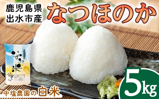 i1179-A 令和7年産 鹿児島県 出水市産 なつほのか (5kg) 米 5kg なつほのか 鹿児島 5キロ お米 九州 九州産 甘み 大粒 【いずみキッチン】