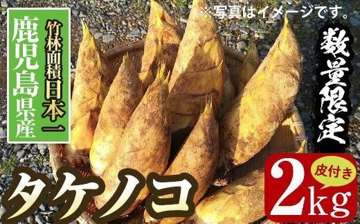 i230 ≪数量限定！先行予約受付中！2026年3月下旬～4月中旬の間に発送≫鹿児島県出水市産！たけのこ＜皮付き2kg＞ たけのこ 筍 タケノコ 国産 皮付き 野菜 旬 新鮮 採りたて 煮物 味噌汁 炊き込みご飯 【シンタク】