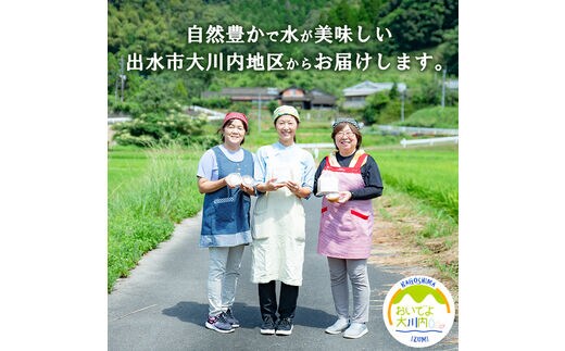 i346 鹿児島県出水市産の大川内麦味噌(1kg×6袋・計6kg)地域のお母さん