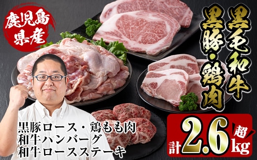 i353 鹿児島を味わえる牛豚鶏セット計2.6kg超(鹿児島県産黒毛和牛ロースステーキ200g、黒豚ロース400g(100g×4枚)、鶏もも肉2kg、和牛ハンバーグの4種) 牛肉 豚肉 鶏肉 国産 黒毛和牛 黒豚 モモ肉 ハンバーグ 詰め合わせ セット 鉄板料理【スーパーよしだ】