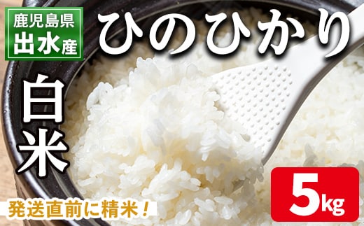 i310 鹿児島県出水市産ひのひかり＜5kg＞ 米 5kg お米 白米 ヒノヒカリ 自家脱穀 自家精米 発送直前 精米 おにぎり ごはん お米マイスター 厳選 【田上商店】