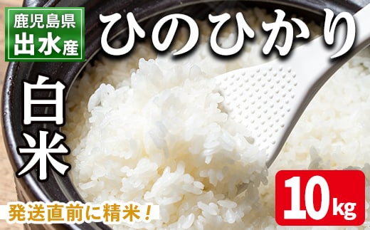 i395 鹿児島県出水市産ひのひかり＜10kg＞ 米 10kg お米 白米 ヒノヒカリ 自家脱穀 自家精米 発送直前 精米 おにぎり ごはん お米マイスター 厳選 【田上商店】
