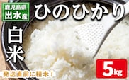i310 鹿児島県出水市産ひのひかり＜5kg＞ 米 5kg お米 白米 ヒノヒカリ 自家脱穀 自家精米 発送直前 精米 おにぎり ごはん お米マイスター 厳選 【田上商店】