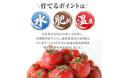 とまと様　ご依頼品 楽天市場】【ふるさと納税】《期間・数量限定》＜訳あり＞大玉トマト