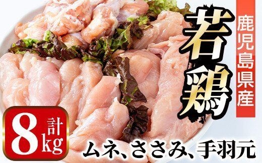 i449 若鶏ムネ肉・手羽元・ささみ(計8kg)鹿児島県産の鶏肉を3種お届け 鶏肉 鳥肉 とり肉 ムネ むね肉 手羽元 ささみ 詰め合わせ セット 国産 鹿児島県産 計8kg 安心安全【まつぼっくり】