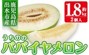 i456 ＜2026年4月中旬~5月中旬の間に発送予定＞うちののパパイヤメロン(計約1.8kg・2個入) メロン パパイヤメロン 果物 くだもの フルーツ 期間限定 数量限定 旬 立体栽培 シャキシャキ食感 ギフト 贈り物 おやつ 【山ん神】