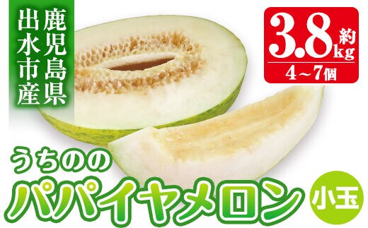 i457 ＜2026年4月中旬~5月中旬の間に発送予定＞うちののパパイヤメロン小玉(計約3.8kg・4～7個入) メロン パパイヤメロン 果物 くだもの フルーツ 期間限定 数量限定 旬 立体栽培 シャキシャキ食感 ギフト 贈り物 おやつ 【山ん神】
