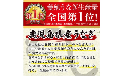 i506 鹿児島県産うなぎ蒲焼3尾セット(約140g×3・計約420g)【薩摩川内鰻