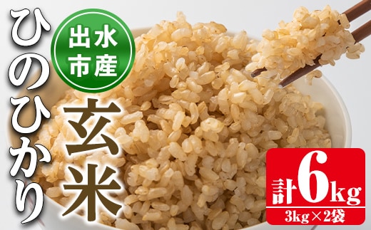 i504 鹿児島県出水市産ひのひかり玄米＜3kg×2袋・計6kg＞米 玄米 お米 6kg 国産 ひのひかり おにぎり ごはん 自家脱穀 お米マイスター 厳選 【田上商店】