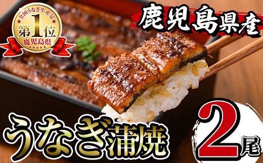 i505 鹿児島県産うなぎ蒲焼2尾セット(約140g×2・計約280g) うなぎ 鰻 ウナギ 2尾 蒲焼き 国産 鹿児島県産 焼きたて 生産量日本一 真空パック おかず 晩御飯 特別な日 土用の丑の日【薩摩川内鰻】