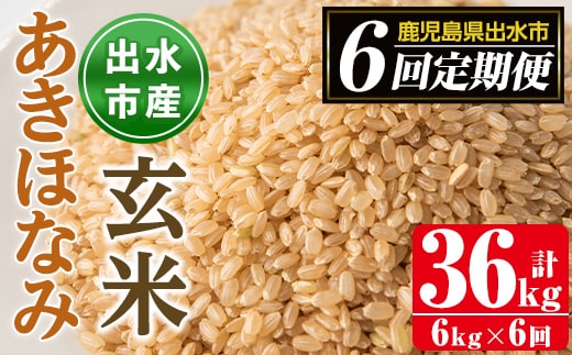 i539 ＜定期便・計6回(連続)＞鹿児島県出水市産あきほなみ 玄米＜(3kg×2袋・計6kg)×全6回＞ 米 玄米 お米 6kg 計36kg 定期便 国産 あきほなみ おにぎり ごはん お米マイスター 厳選【田上商店】