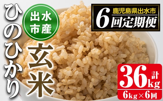 i542 ＜定期便・計6回(連続)＞鹿児島県出水市産ひのひかり玄米＜(3kg×2袋・計6kg)×全6回＞ 米 玄米 お米 6kg 計36kg 定期便 国産 ヒノヒカリ おにぎり 自家脱穀 ごはん お米マイスター 厳選【田上商店】