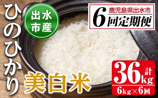 i543 ＜定期便・計6回(連続)＞鹿児島県出水市産ひのひかり美白米＜(3kg×2袋・計6kg)×全6回＞ 米 6kg 計36kg お米 白米 ヒノヒカリ 美白米 定期便 自家脱穀 自家精米 精米 おにぎり ごはん お米マイスター 厳選【田上商店】