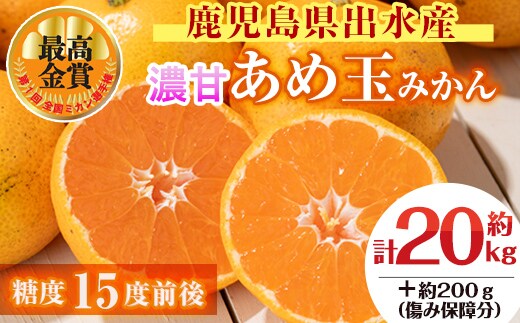 i573 ＜先行予約受付中！2025年11月中旬～2026年1月下旬の間に発送予定＞【特別栽培・最高金賞】温州みかん日本一！濃甘あめ玉みかん(計約20kg・10kg×2箱＋傷み保障約200g(3～4玉) みかん 蜜柑 ミカン 柑橘 果物 フルーツ 果実 国産 鹿児島 【Farmer friends Marche】