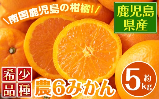 i585 ＜2026年3月下旬～6月中旬の間に発送予定＞農6みかん(約5kg) 果物 フルーツ 柑橘 国産 鹿児島県産 みかん 蜜柑 【江崎果樹園】
