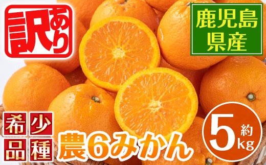 i586 ＜2026年3月下旬～6月中旬の間に発送予定＞《傷ありのため訳あり》農6みかん(約5kg) 果物 フルーツ 柑橘 国産 鹿児島県産 みかん 蜜柑 【江崎果樹園】