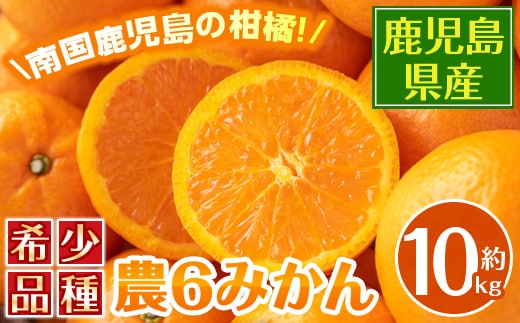 i593 ＜2026年3月下旬～6月中旬の間に発送予定＞農6みかん(約10kg) 果物 フルーツ 柑橘 国産 鹿児島県産 みかん 蜜柑 【江崎果樹園】