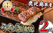 i505 鹿児島県産うなぎ蒲焼2尾セット(約140g×2・計約280g) うなぎ 鰻 ウナギ 2尾 蒲焼き 国産 鹿児島県産 焼きたて 生産量日本一 真空パック おかず 晩御飯 特別な日 土用の丑の日【薩摩川内鰻】