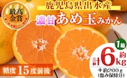 i570 ＜先行予約受付中！2025年11月中旬～2026年1月下旬の間に発送予定＞【特別栽培・最高金賞】温州みかん日本一！濃甘あめ玉みかん(約6kg・1箱＋傷み保障 約200g(3～4玉)  みかん 蜜柑 ミカン 柑橘 果物 フルーツ 果実 国産 鹿児島  【Farmer friends Marche】