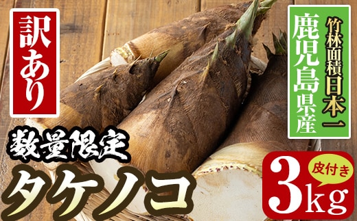 i500 ≪数量限定！先行予約受付中！2026年4月上旬～4月中旬の間に発送予定≫【訳あり】鹿児島県出水市産！タケノコ＜皮付き3kg＞ たけのこ 筍 タケノコ 国産 皮付き 訳アリ 野菜 旬 新鮮 採りたて 煮物 味噌汁 炊き込みご飯 【シンタク】