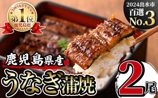 i505 鹿児島県産うなぎ蒲焼2尾セット(約140g×2・計約280g) うなぎ 鰻 ウナギ 2尾 蒲焼き 国産 鹿児島県産 焼きたて 生産量日本一 真空パック おかず 晩御飯 特別な日 土用の丑の日【薩摩川内鰻】