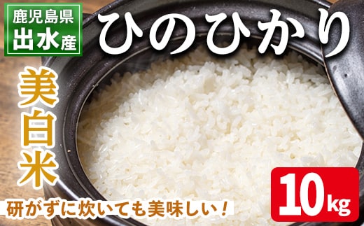 i501 鹿児島県出水市産ひのひかり美白米＜10kg＞ 米 10kg お米 白米 ヒノヒカリ 美白米 自家脱穀 自家精米 精米 おにぎり ごはん お米マイスター 厳選 【田上商店】