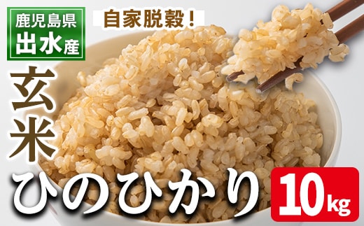 i503 鹿児島県出水市産ひのひかり玄米＜10kg＞ 米 玄米 お米 10kg 国産 ひのひかり おにぎり ごはん 自家脱穀 お米マイスター 厳選 【田上商店】