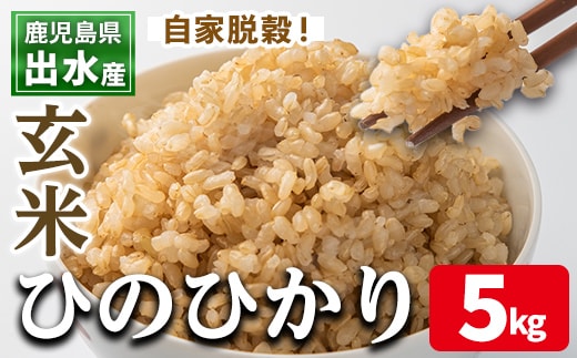 i504 鹿児島県出水市産ひのひかり玄米＜5kg＞ 米 玄米 お米 5kg 国産 ひのひかり おにぎり ごはん 自家脱穀 お米マイスター 厳選 【田上商店】