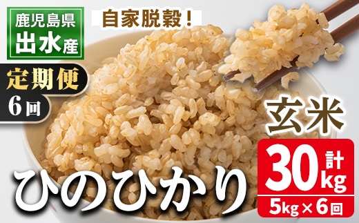 i542 ＜定期便・計6回(連続)＞鹿児島県出水市産ひのひかり玄米＜5kg×全6回＞ 米 玄米 お米 5kg 計30kg 定期便 国産 ヒノヒカリ おにぎり 自家脱穀 ごはん お米マイスター 厳選 【田上商店】