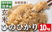 i503 鹿児島県出水市産ひのひかり玄米＜10kg＞ 米 玄米 お米 10kg 国産 ひのひかり おにぎり ごはん 自家脱穀 お米マイスター 厳選 【田上商店】