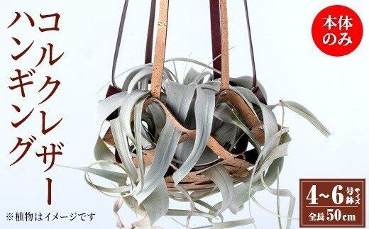 i616 コルクレザーハンギング(植物なし)地球環境や動物に配慮した素材で作られたプラントハンガー！ プラントハンガー 吊り下げ 観葉植物 エアプランツ 地球環境 グリーン インテリア 癒しの空間 植物ホルダー おしゃれ空間 ギフト 贈り物【kurk PLANT LEATHER】