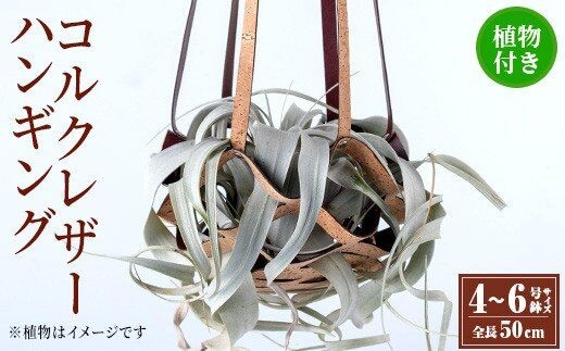 i617 コルクレザーハンギング(植物セット)地球環境や動物に配慮した素材で作られたプラントハンガー！ プラントハンガー 吊り下げ 観葉植物 エアプランツ 地球環境 グリーン インテリア 癒しの空間 植物ホルダー おしゃれ空間 ギフト 贈り物【kurk PLANT LEATHER】