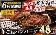 i689 ＜定期便・計6回(隔月)＞【訳あり】鹿児島県産！黒毛和牛の究極の手ごねハンバーグ(総計48個・100g×8個×6回) ハンバーグ 牛肉 黒毛和牛 100％ 国産 冷凍 おかず 定期便 エコパッケージ 小分け 手ごねハンバーグ 安心安全 簡単調理【スーパーよしだ】