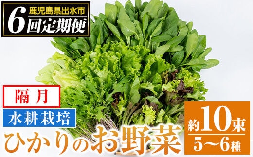 i678-A ＜定期便・計6回(隔月)＞ひかりのお野菜(約10束・5～6種) 野菜 やさい 葉物 旬 定期便 ほうれん草 水菜 チンゲン菜 小松菜 リーフレタス ルッコラ 水耕栽培 ミックスリーフ 山東白菜 何が届くかはお楽しみ【ひかりの郷】