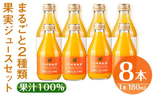 i610 まるごと2種類果実ジュースセット(180ml×8本・全2種) 飲料 ジュース みかん 蜜柑 詰合せ 果汁 100% 河内晩柑 農6号 温州みかん 無着色 無香料 ストレートジュース 安心安全 ギフト 贈り物 【江崎果樹園】