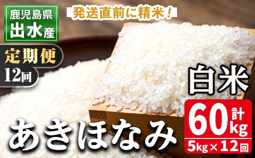 i650 ＜定期便・計12回(連続)＞鹿児島県出水市産あきほなみ＜5kg×全12回＞ 米 5kg 計60kg お米 白米 定期便 アキホナミ 自家脱穀 自家精米 発送直前 精米 おにぎり ごはん お米マイスター 厳選 【田上商店】
