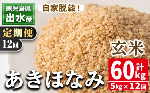 i651 ＜定期便・計12回(連続)＞鹿児島県出水市産あきほなみ 玄米＜5kg×全12回＞ 米 玄米 お米 5kg 計60kg 定期便 国産 アキホナミ おにぎり 自家脱穀 ごはん お米マイスター 厳選 【田上商店】