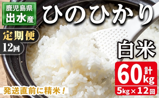 i653 ＜定期便・計12回(連続)＞鹿児島県出水市産ひのひかり＜5kg×全12回＞ 米 5kg 計60kg お米 白米 ヒノヒカリ 定期便 自家脱穀 自家精米 精米 おにぎり ごはん お米マイスター 厳選 【田上商店】