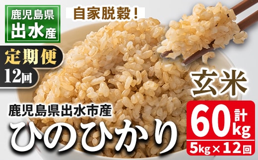 i663 ＜定期便・計12回(連続)＞鹿児島県出水市産ひのひかり玄米＜5kg×全12回＞ 米 玄米 お米 5kg 計60kg 定期便 国産 ヒノヒカリ おにぎり 自家脱穀 ごはん お米マイスター 厳選 【田上商店】