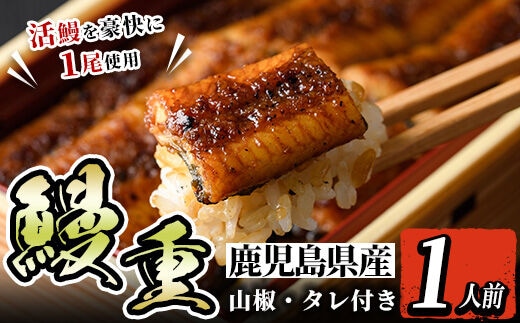 i799 鹿児島県産 鰻重(1人前)うなぎ 鰻 ウナギ うな重 国産 鹿児島県産 おかず 晩御飯 特別な日 土用の丑の日【とらふぐ家】