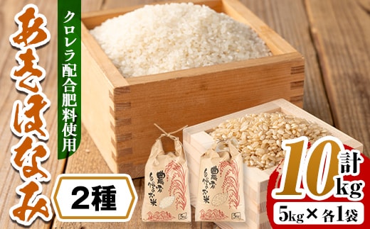 i873-C ＜先行予約受付中！2026年10月下旬~11月下旬の間に発送予定＞【訳あり】クロレラ米（あきほなみ 白米＋玄米・5kg×各1袋・計10kg) 米 お米 10kg 白米 玄米 訳あり あきほなみ クロレラ米 健康食品 クロレラ配合 精米 【黄龍農園】